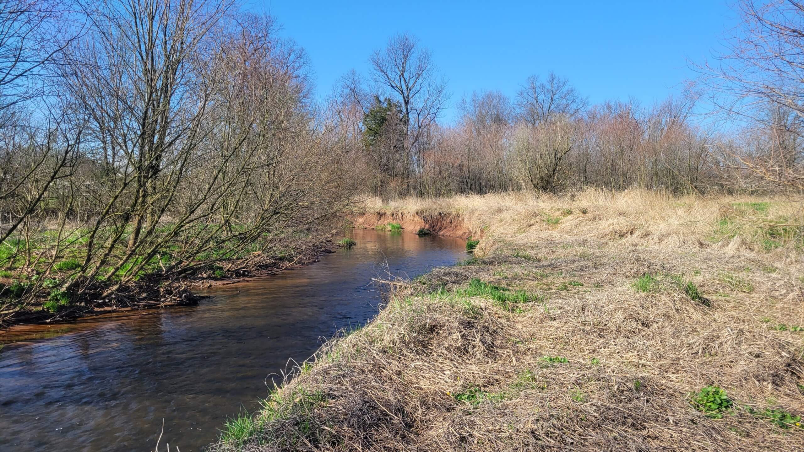Mill Creek: before construction