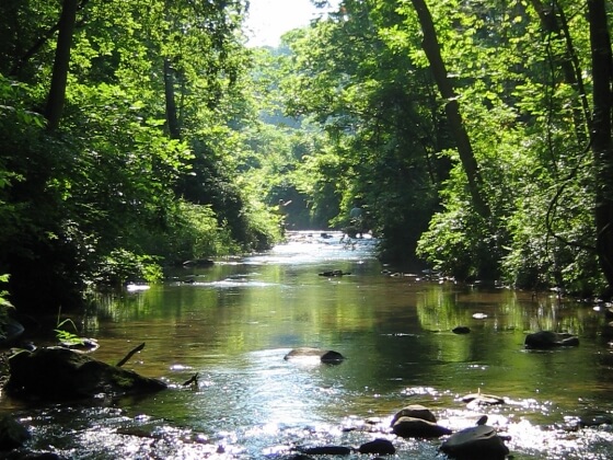 Conoy Creek Photo