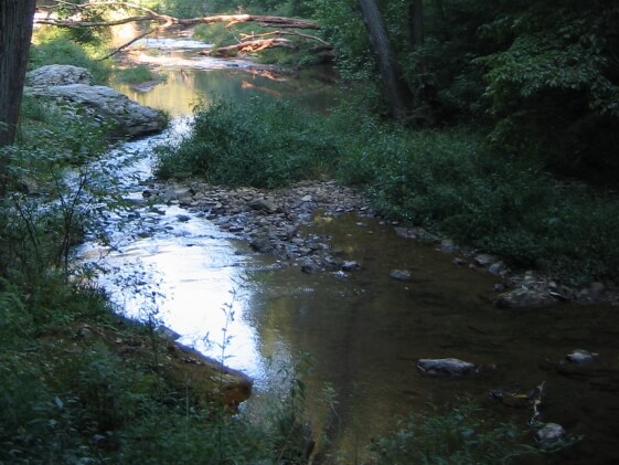 Fishing Creek Photo