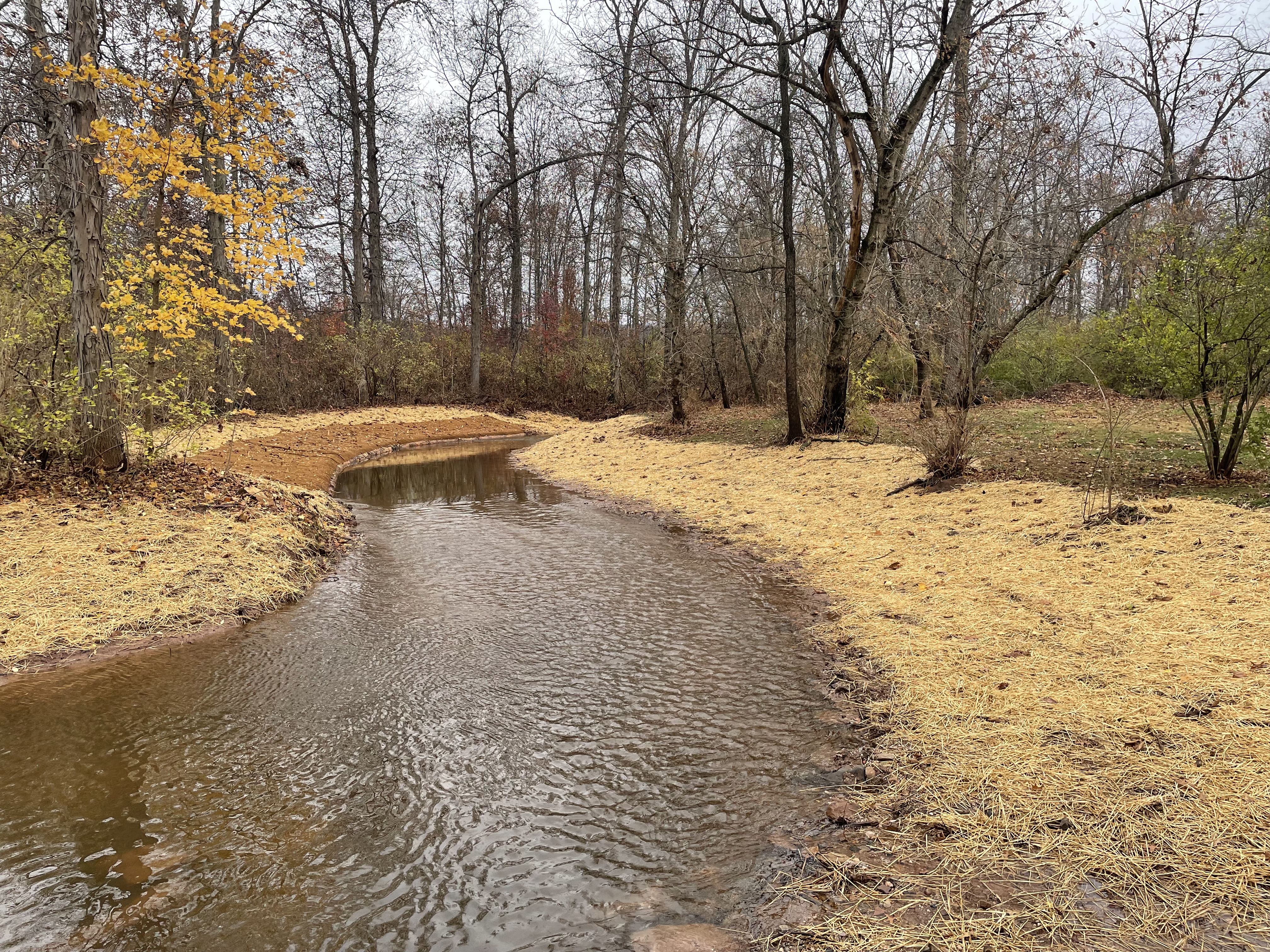 Mill Creek: before construction