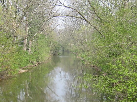 Little Chiques Creek Photo