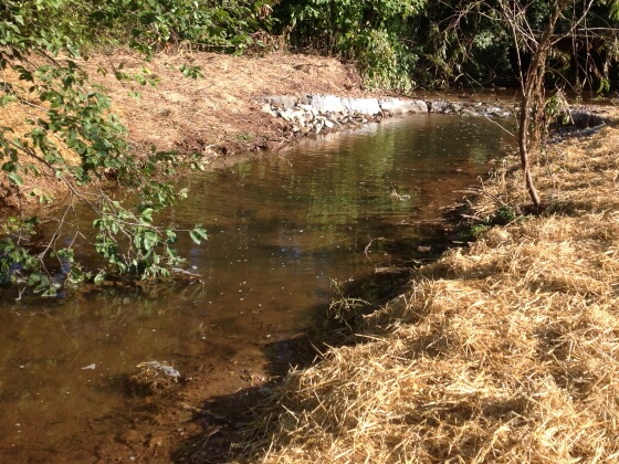 Little Cocalico Creek Photo
