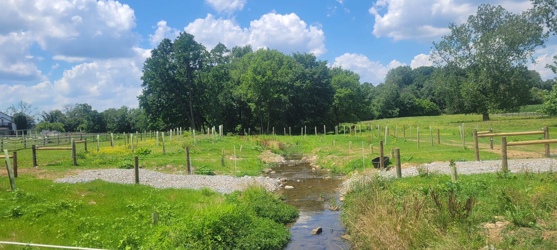 Mill Creek after planting