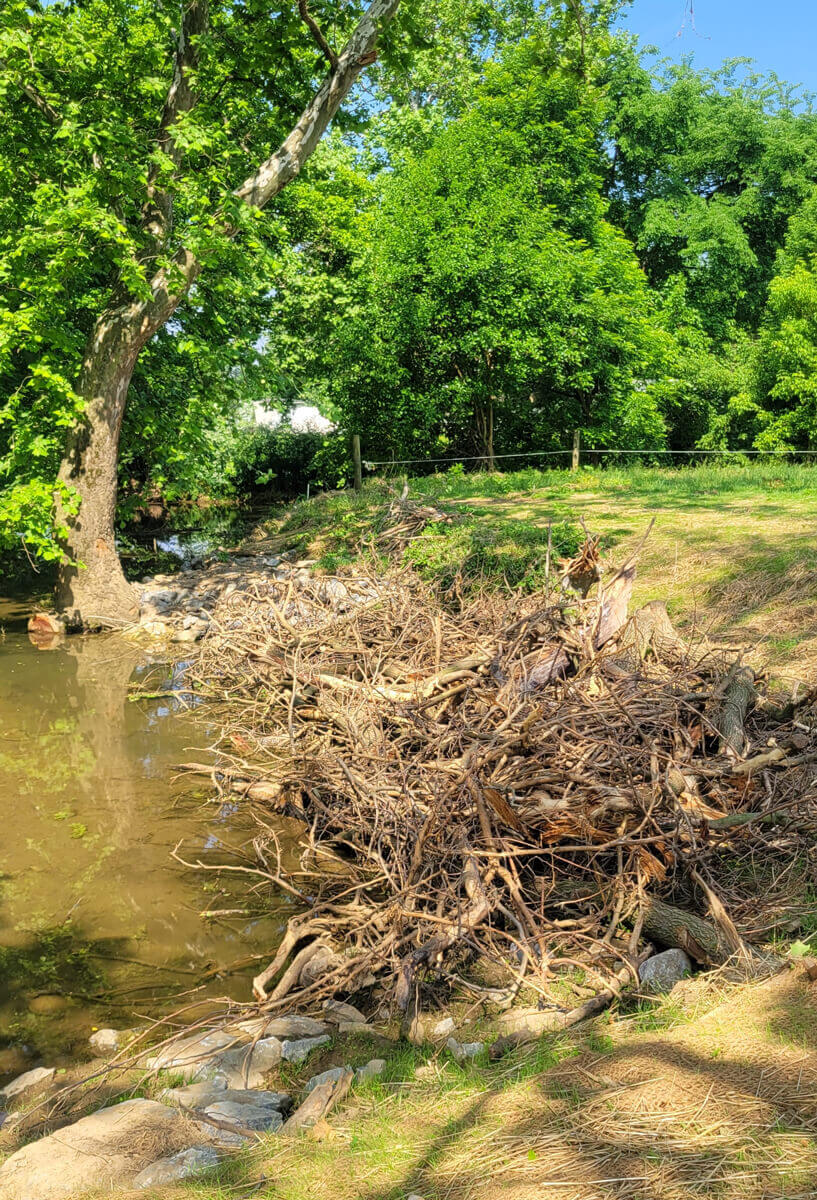 Mill Creek: before construction